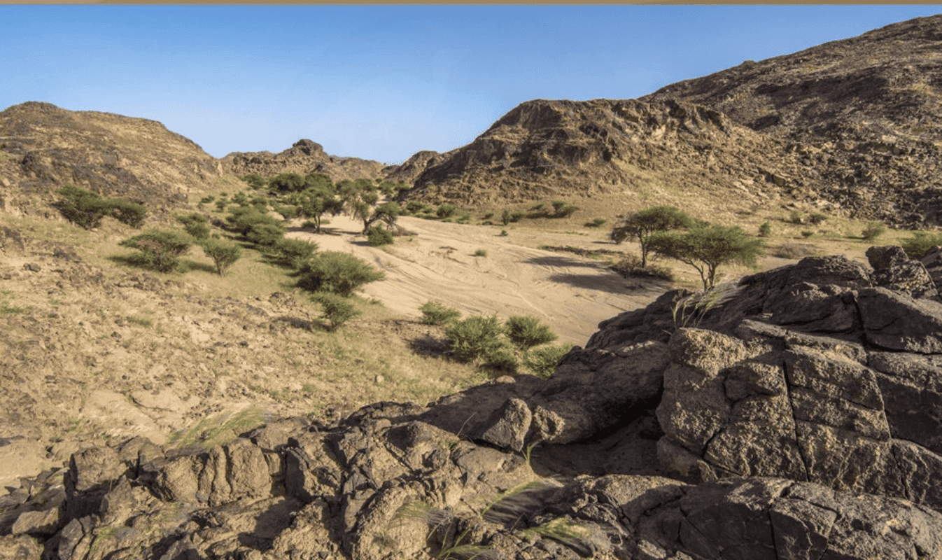 محمية عروق بني معارض