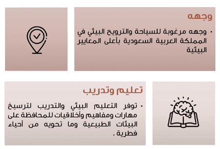 الانفوجرافيك الانفوجرافيك