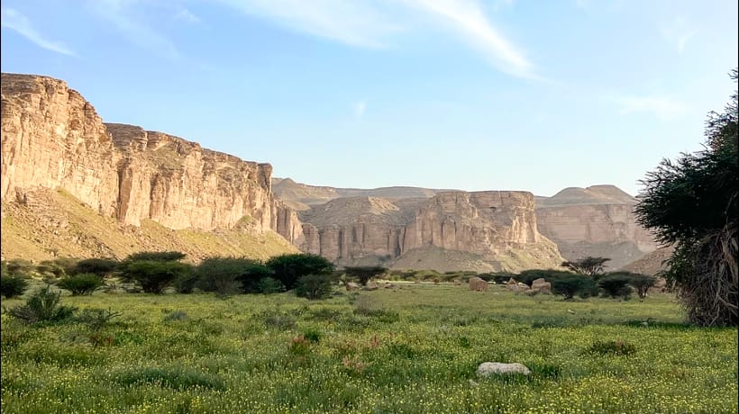 محمية الوعول محمية الوعول