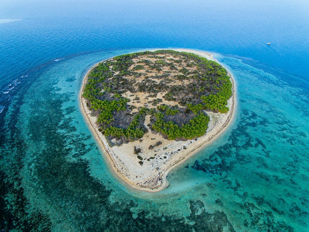 محمية جزر أم القماري محمية جزر أم القماري